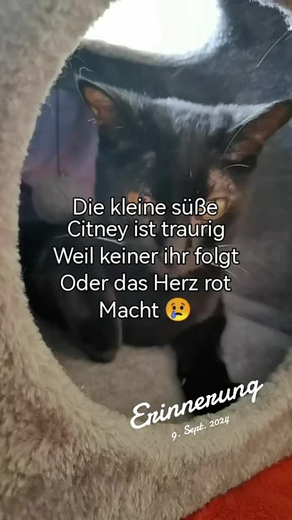 @juli🇩🇪🇺🇸🇷🇺