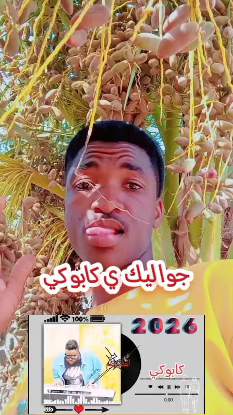 @حامدشعيب ودشمار 🇸🇩🇳🇬⚔️