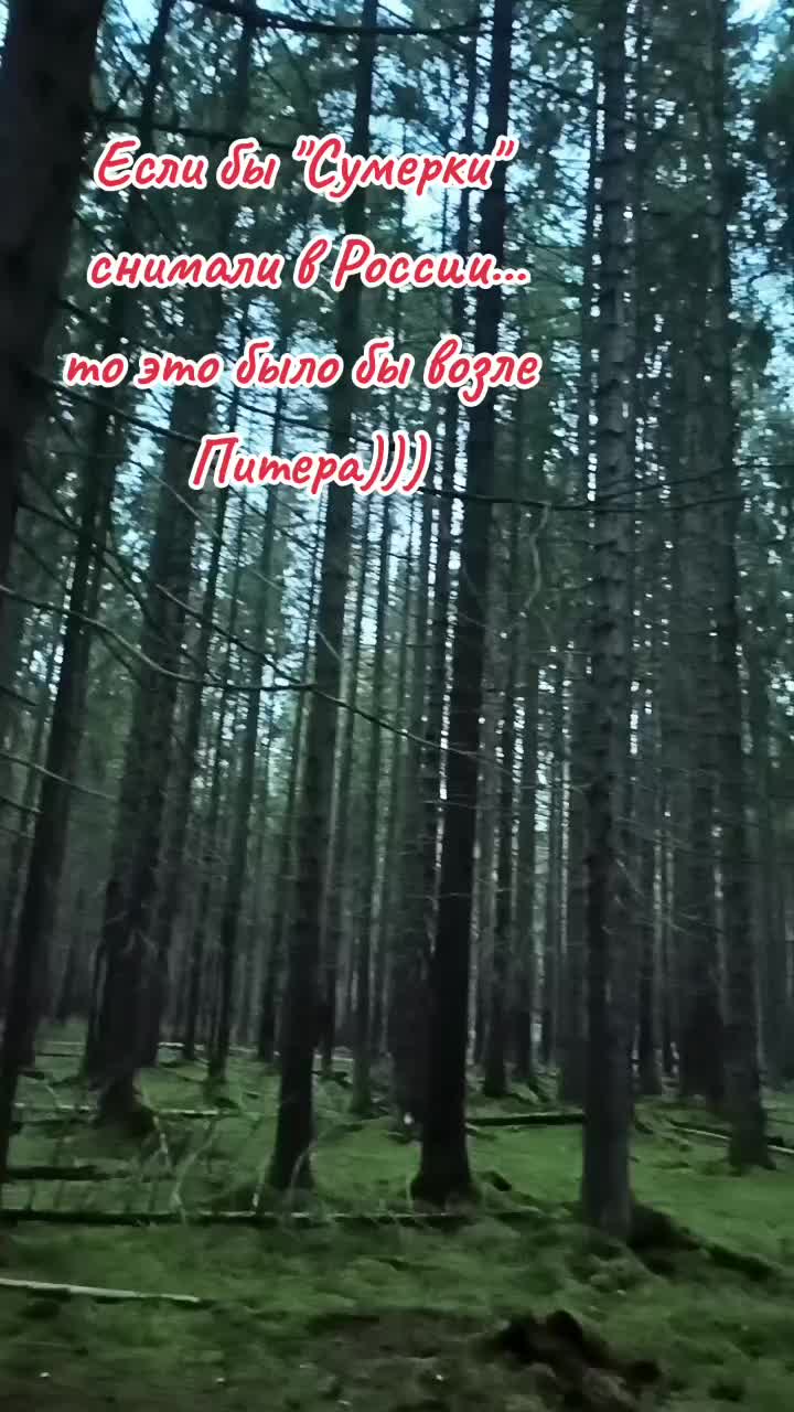 @user2278096979685