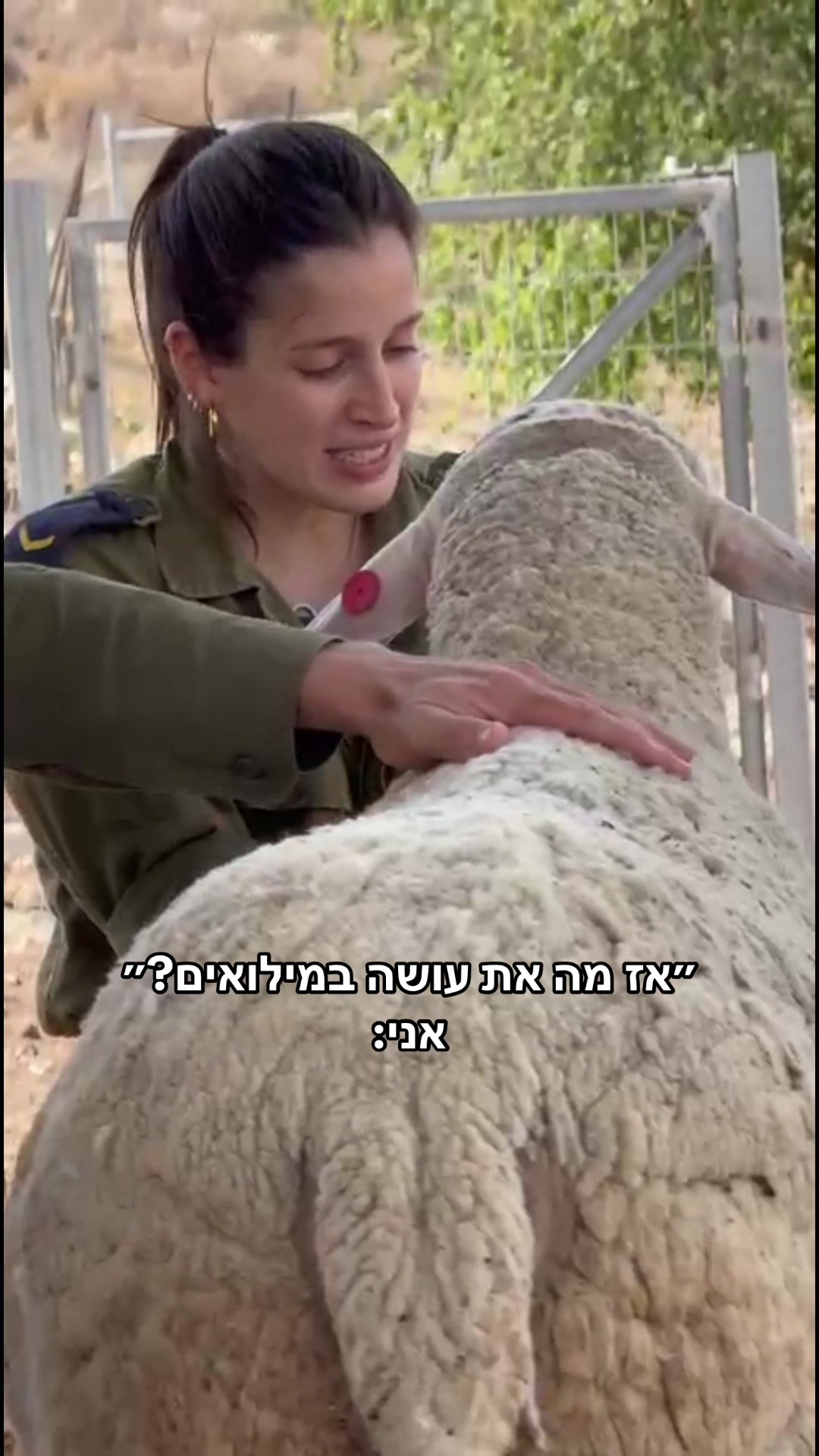 @Omer segev