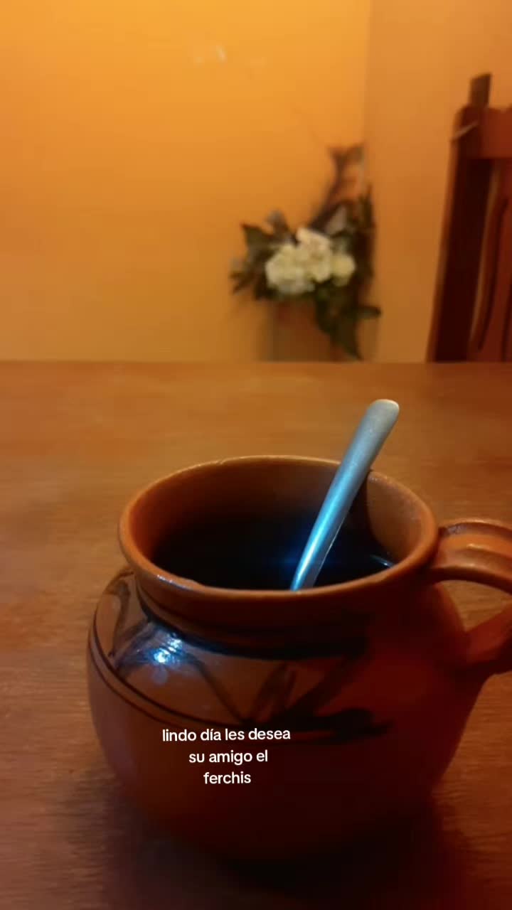 @ferchis.  ( el copi&oacute;n).