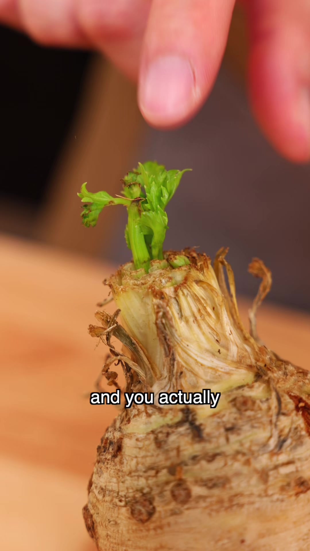 @Shu Xu
