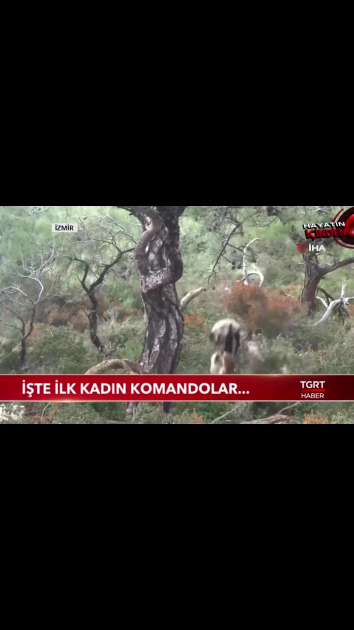 @Asker olmak isteyen biri
