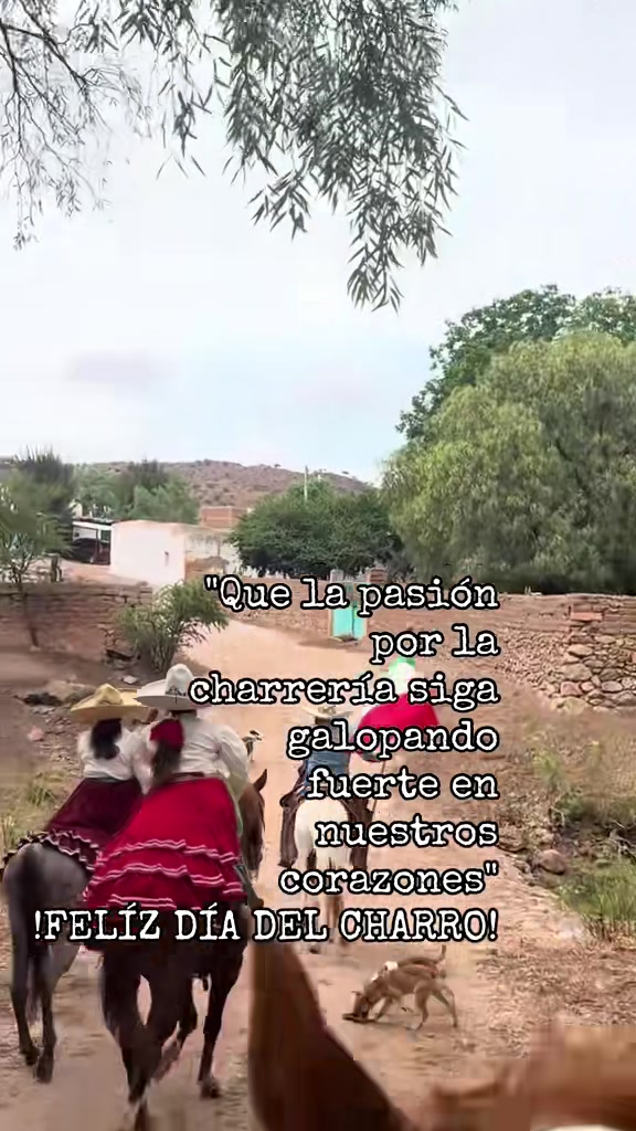 @tomasvaldez38