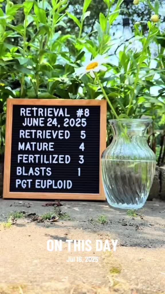 @Netsi | Solo Mom, Late Bloomer