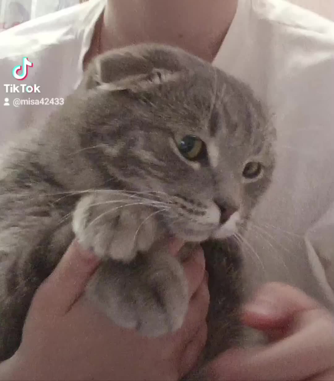 @c7rxq_