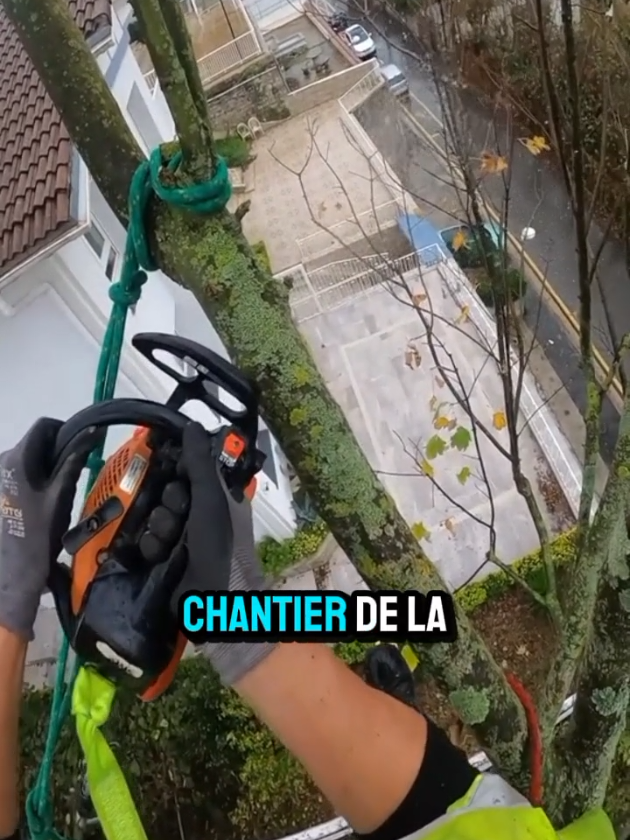 @Planète Jardin 🌿