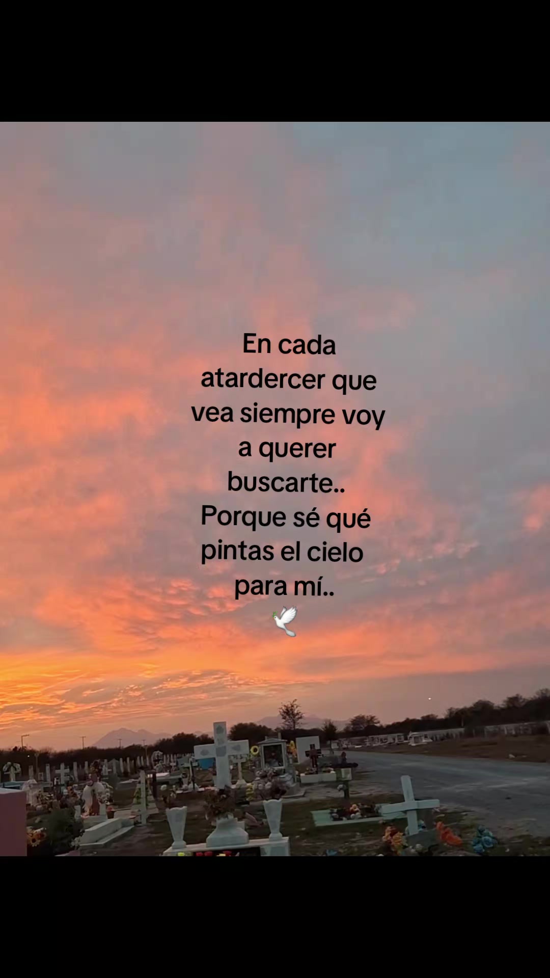 @🚗☁️ Edwin•Tadeo☁️🦖