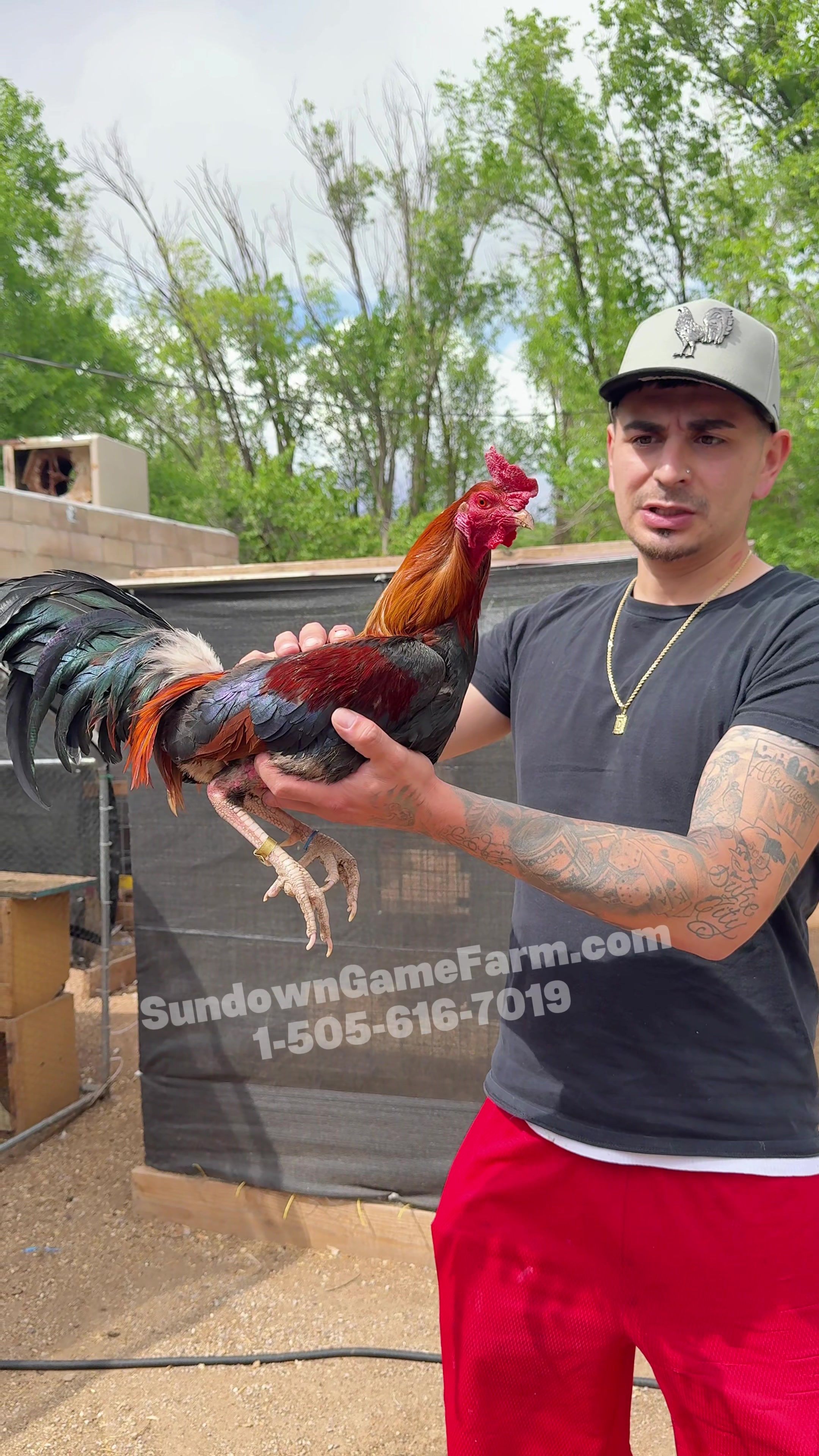 @Sundown Game Farm