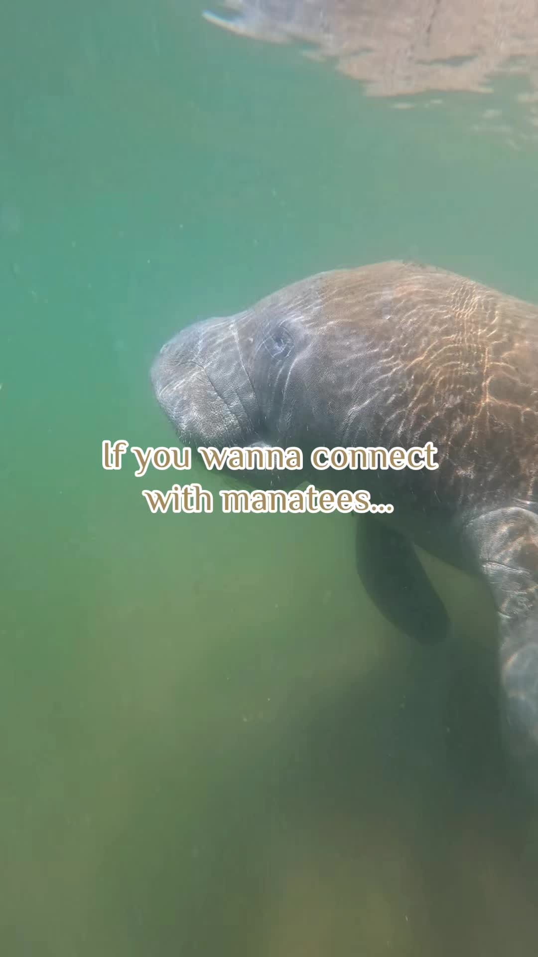 @KEᑎᗪᖇᗩᗩ