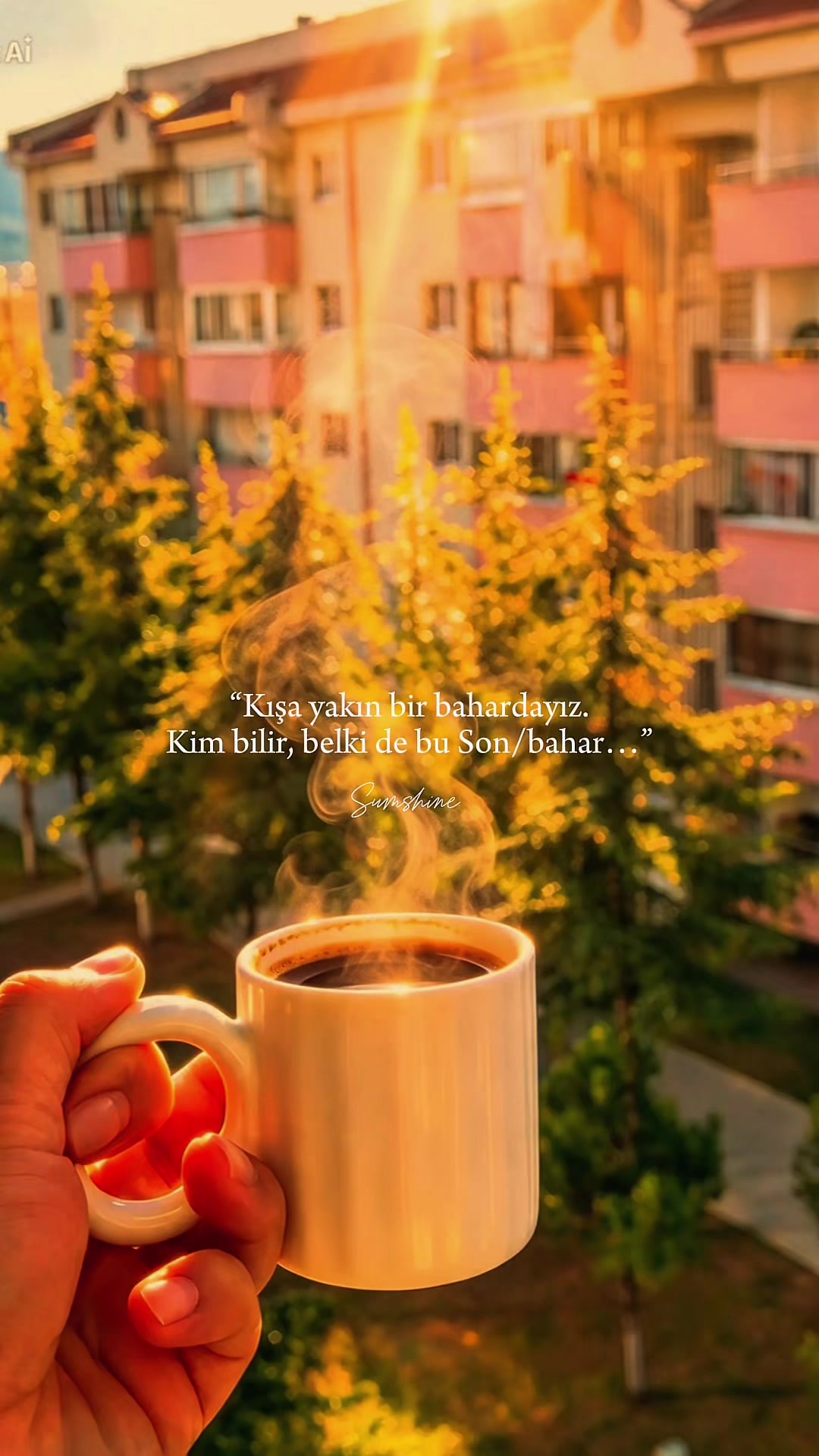 @mervetugceselek