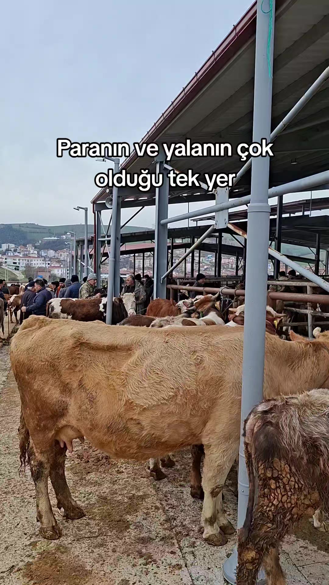 @Aytekin Yilmaz