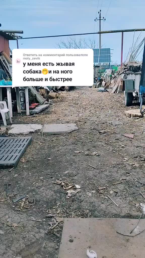 @ДЖЕСС БУМ🏵️🌹🌸