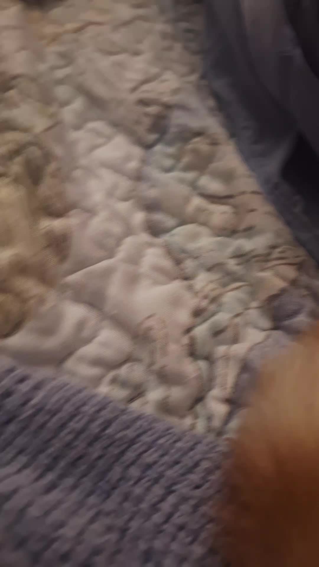 @hi