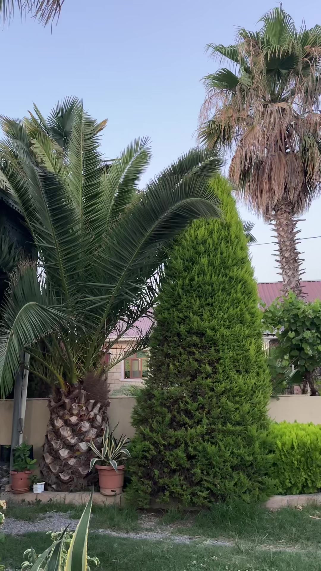 @Kamran🇦🇿