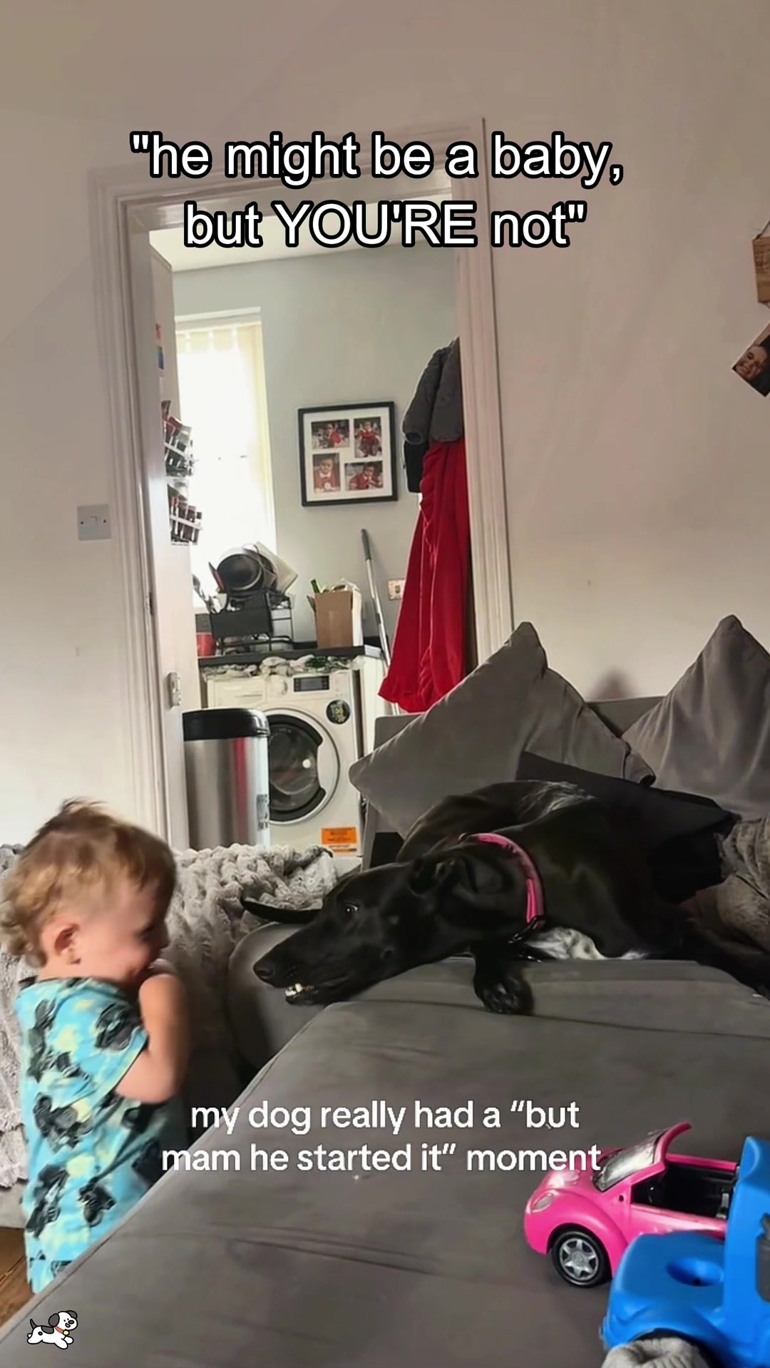 @SneakyFails