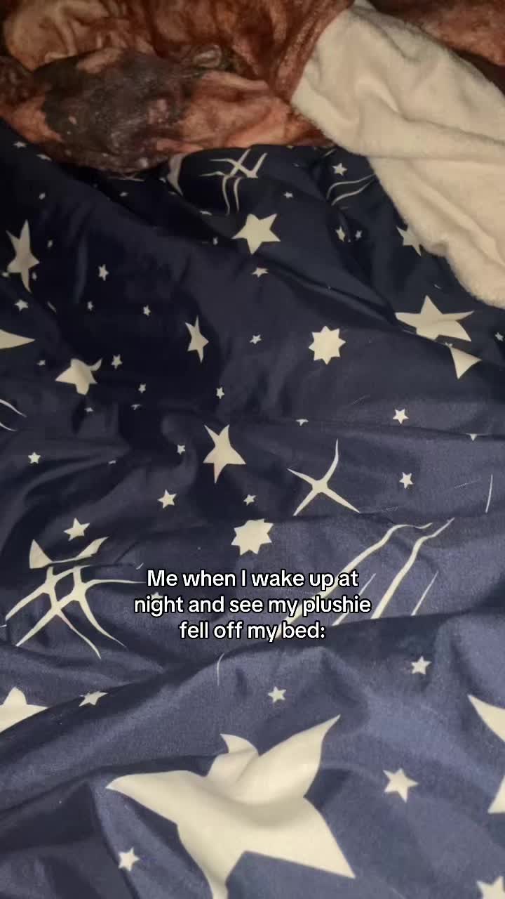 @Ⲇⲁʀⲓⲁ★彡