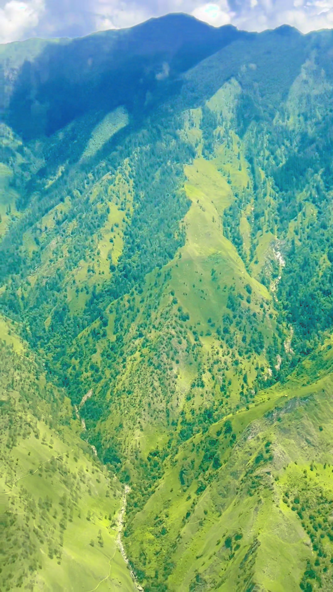 @कैलाश ऐडी (जिज्ञासु)