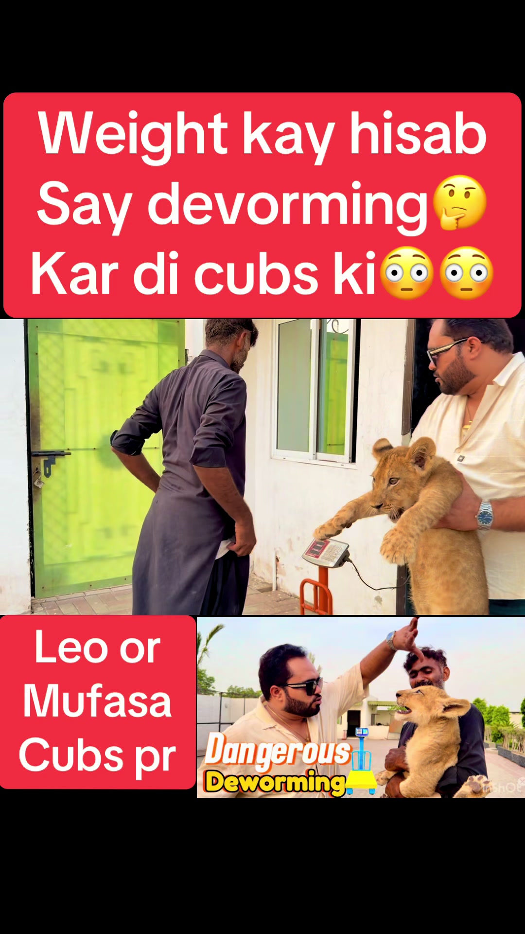 @Mian saqib