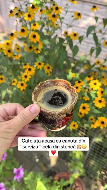 @Diana Batir