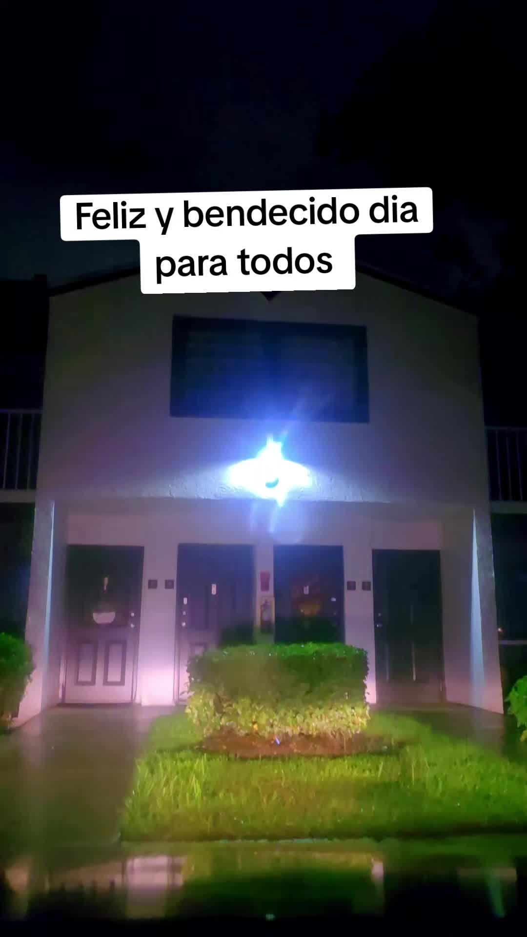 @alina