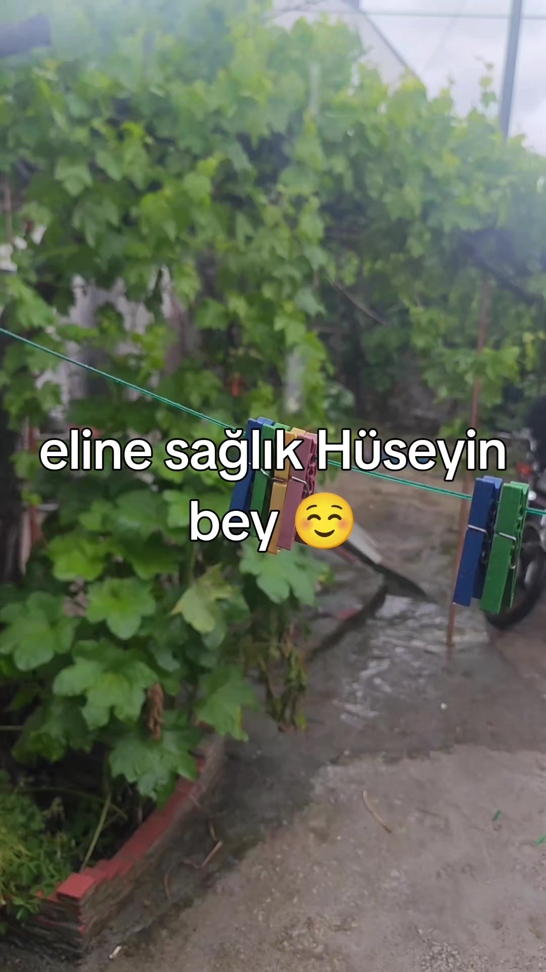 @Ismail Açıkel