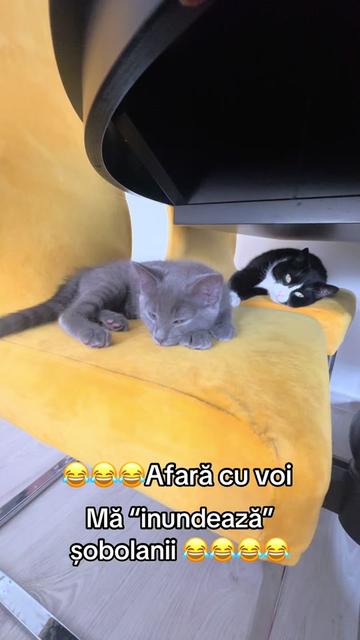 @Mădălina Elena 💋 🇧🇪