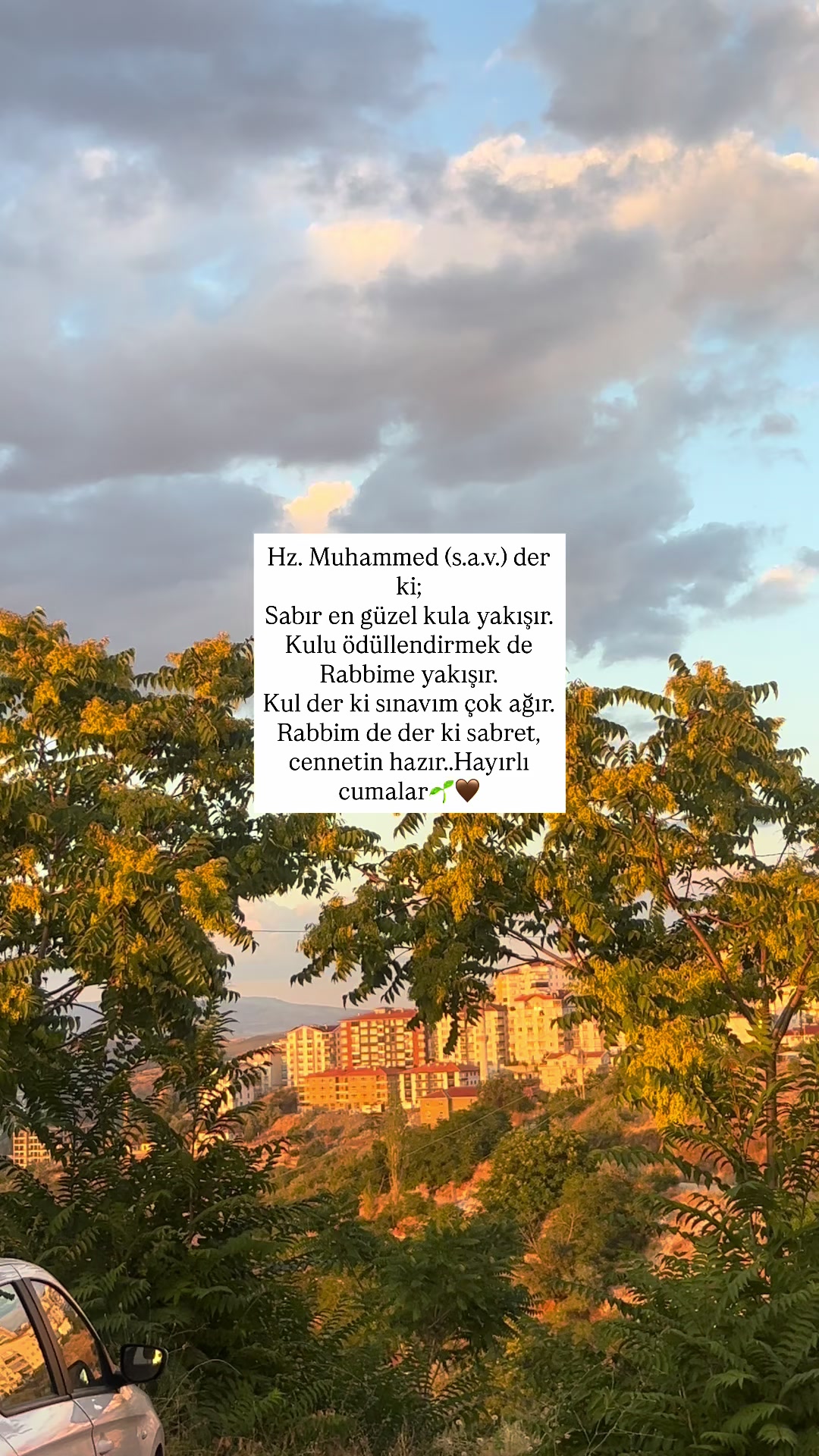 @dilekveli