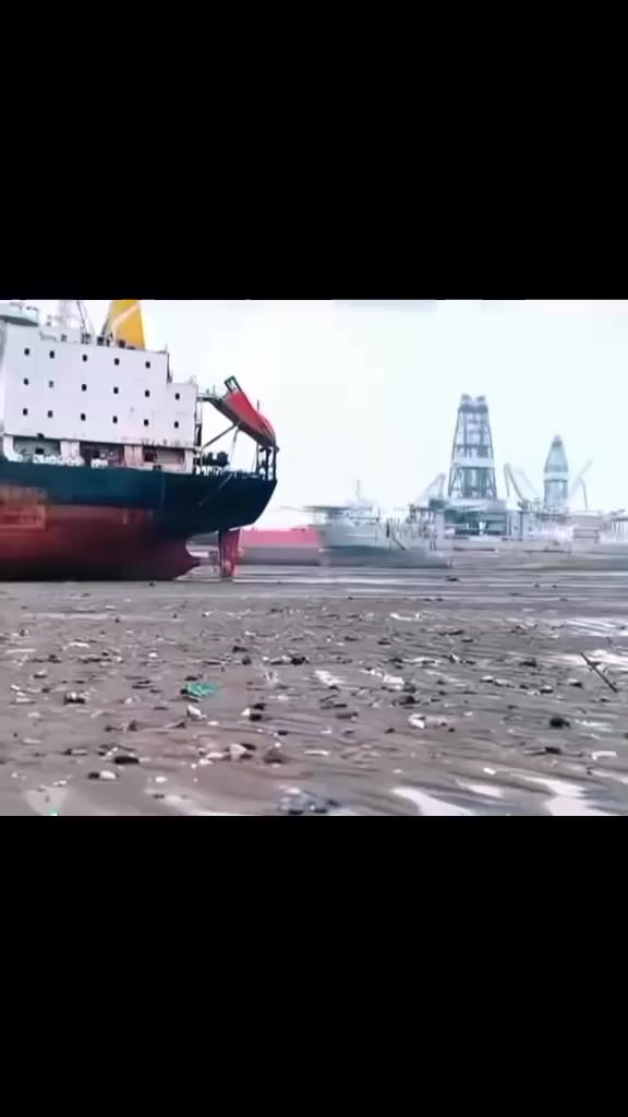 @মোঃ মিরাজ হোসেন