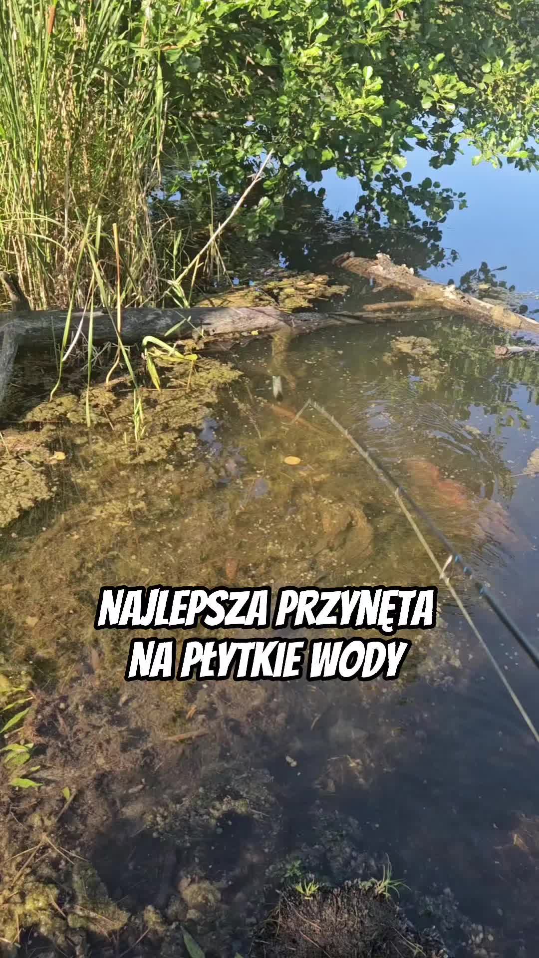 @mfly_lures