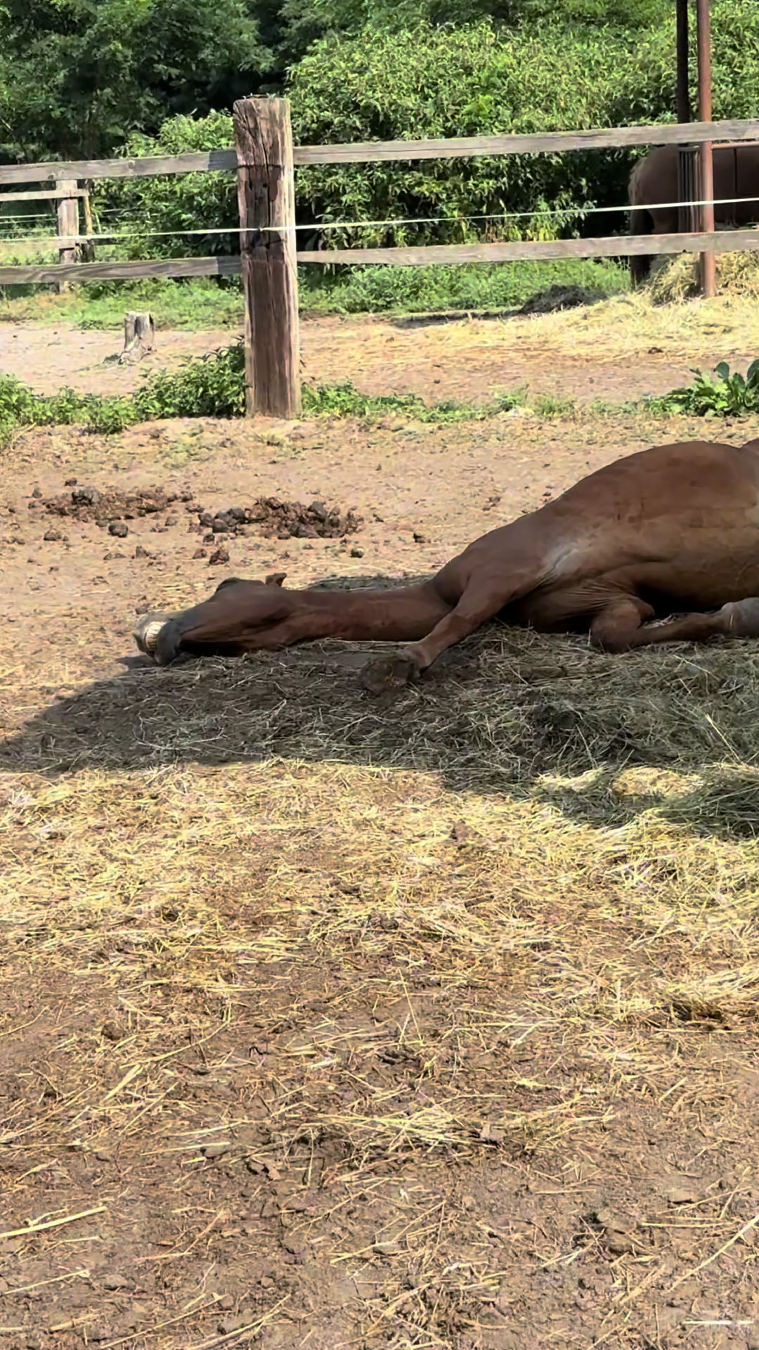 @Blue Valley Farm