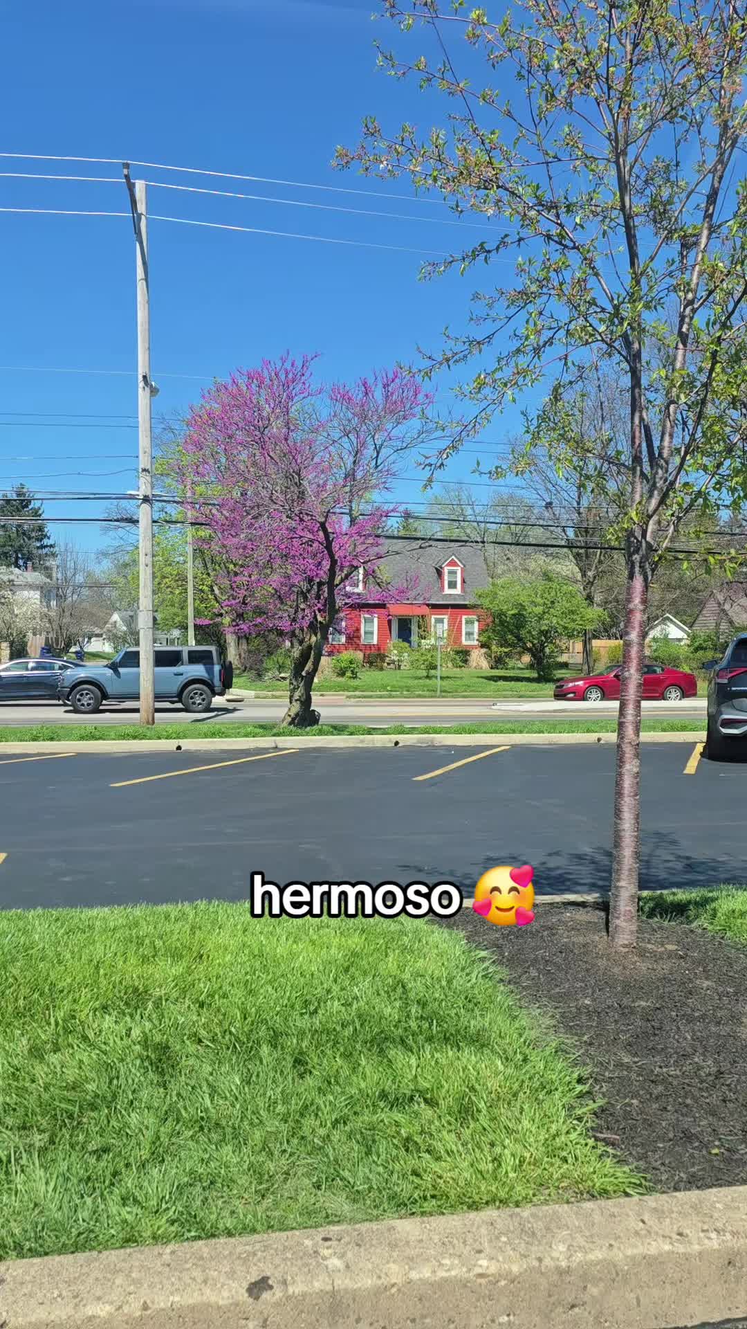 @Juanita Solis