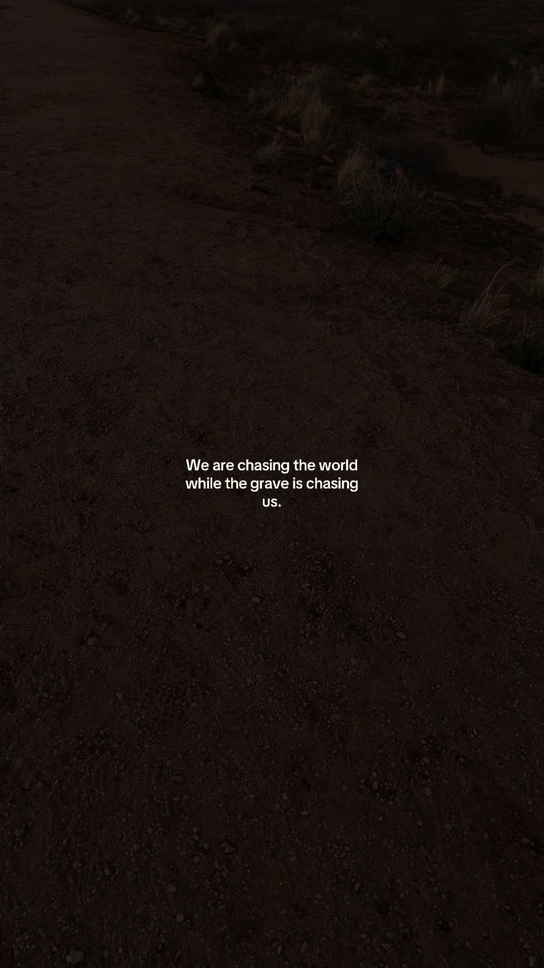 @Sprinklesofreality