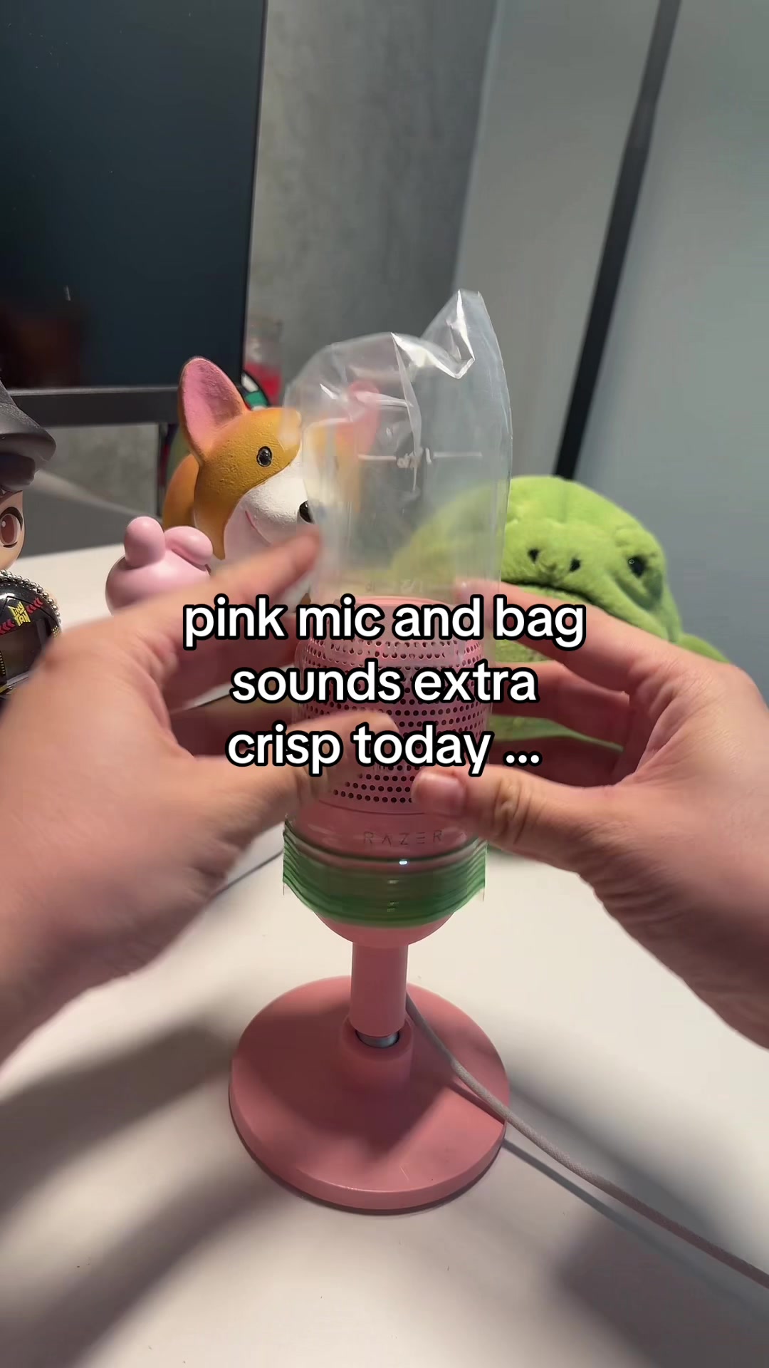 @frog’s asmr 🐸🎧