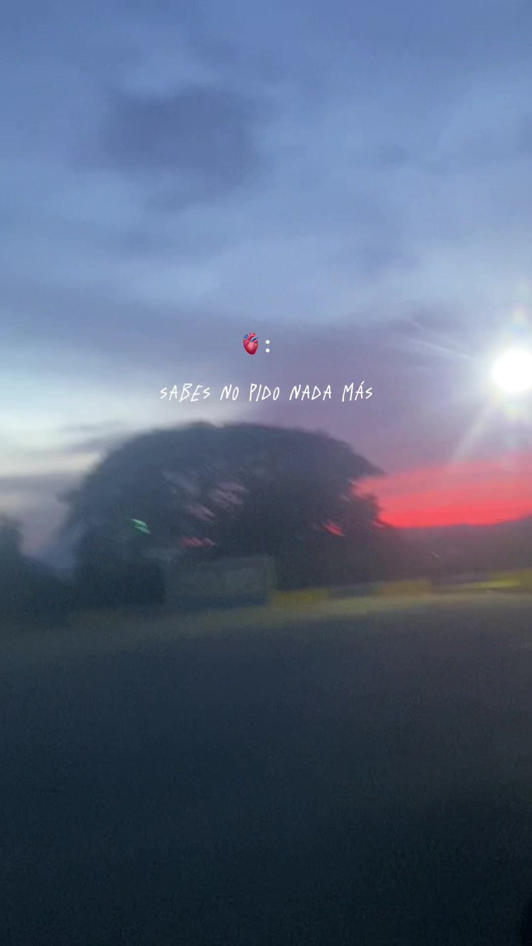 @Mía Aponte