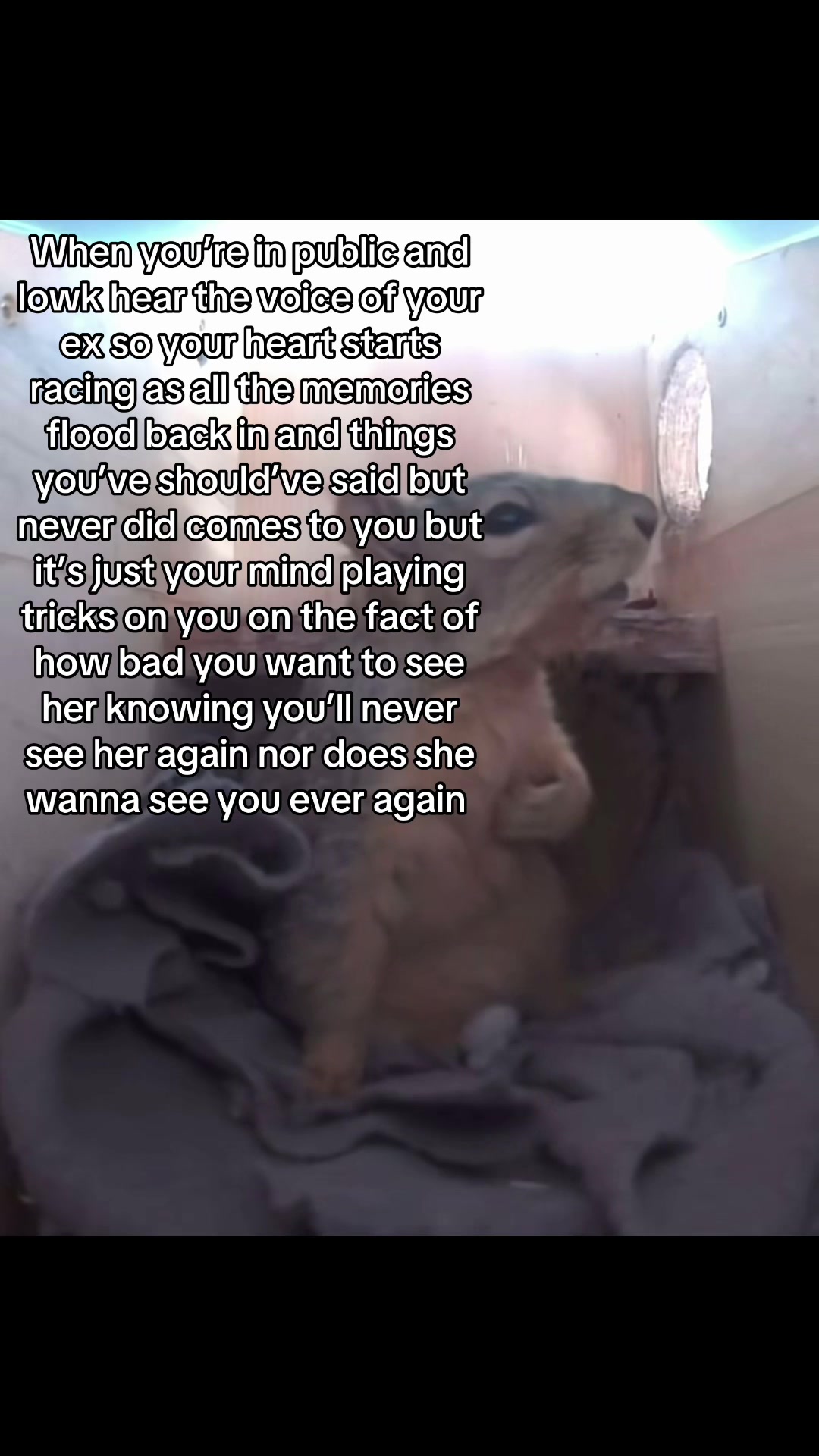 @Kai