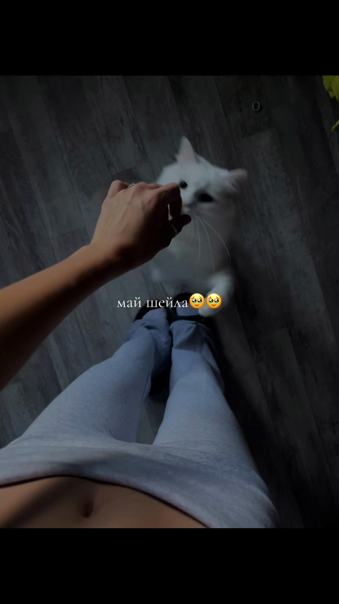 @nk