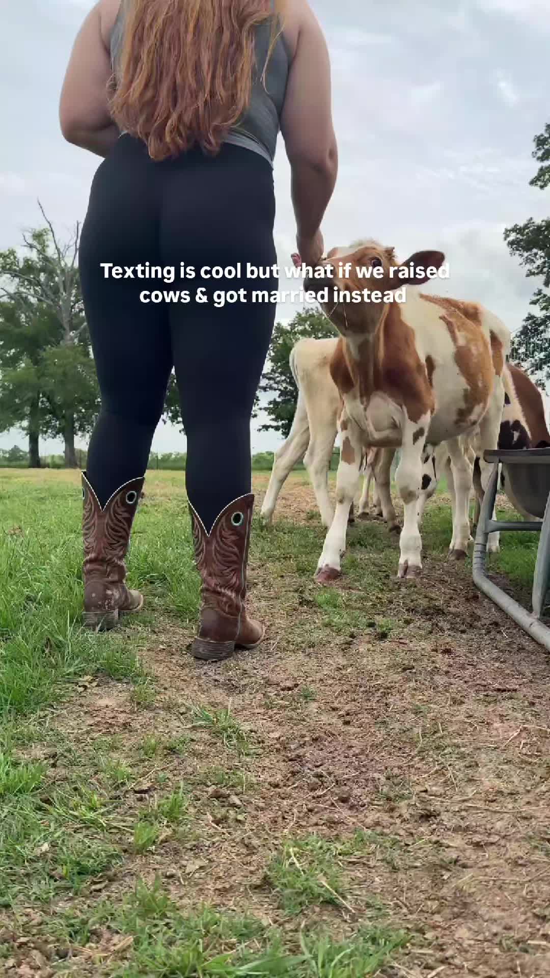 @Hay Bale Honey