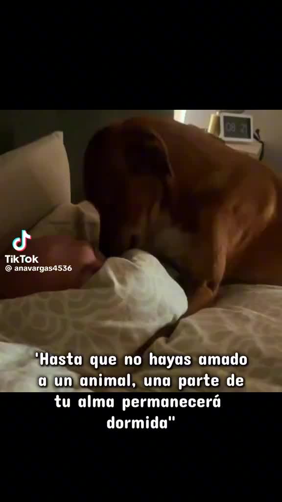 @blancapavon575