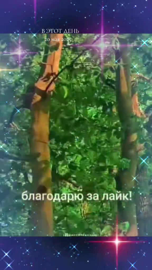 @MamedTkm Мамед