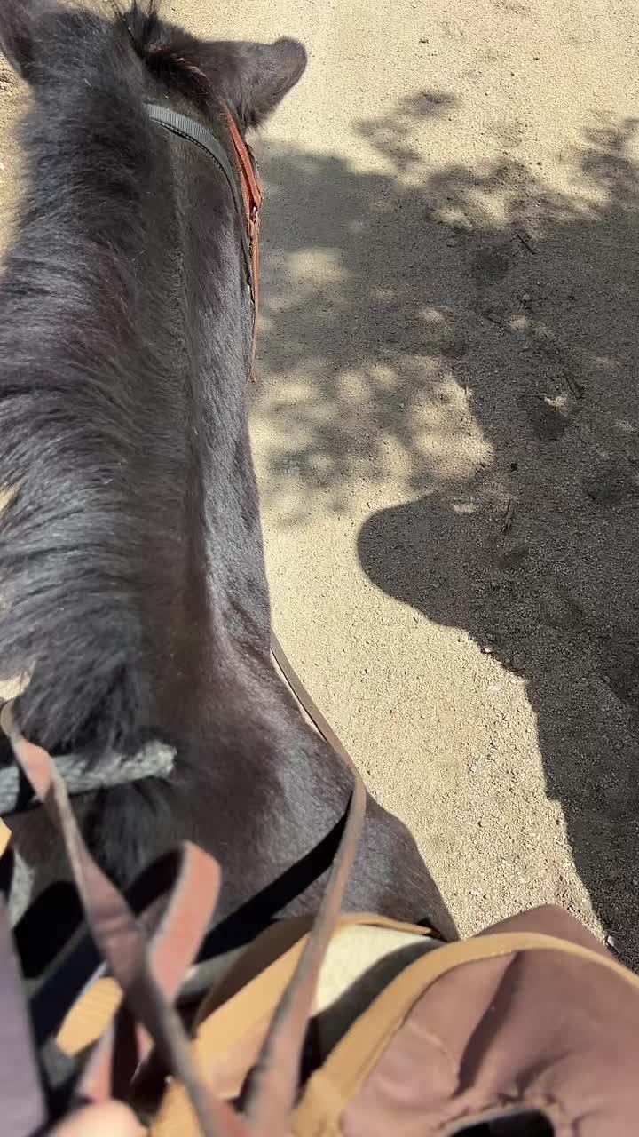 @𝓥𝓪𝓵𝓮𝓷𝓽𝓲𝓷𝓪