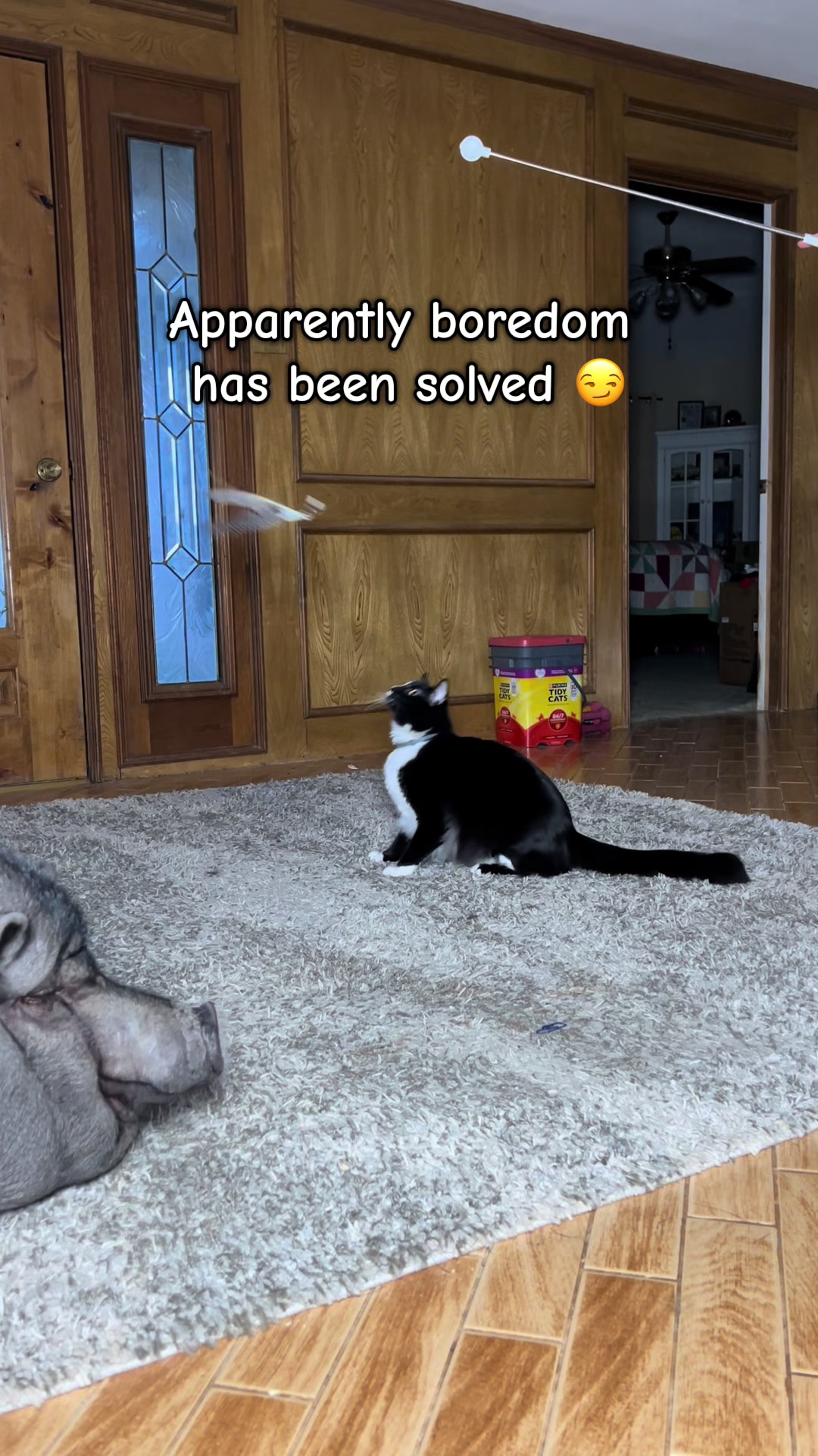 @presleythetuxie