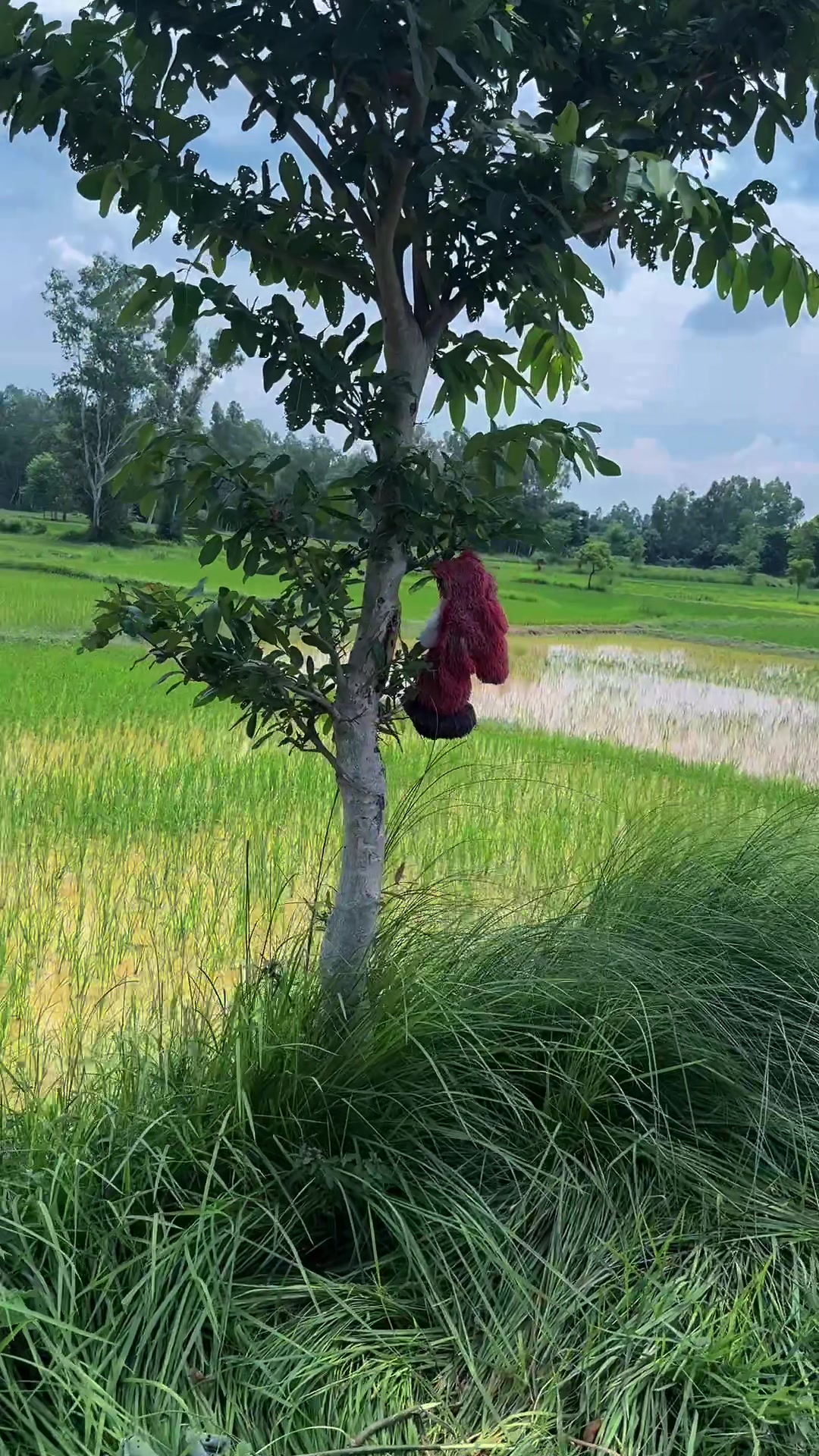@Azad 🇳🇵Alam