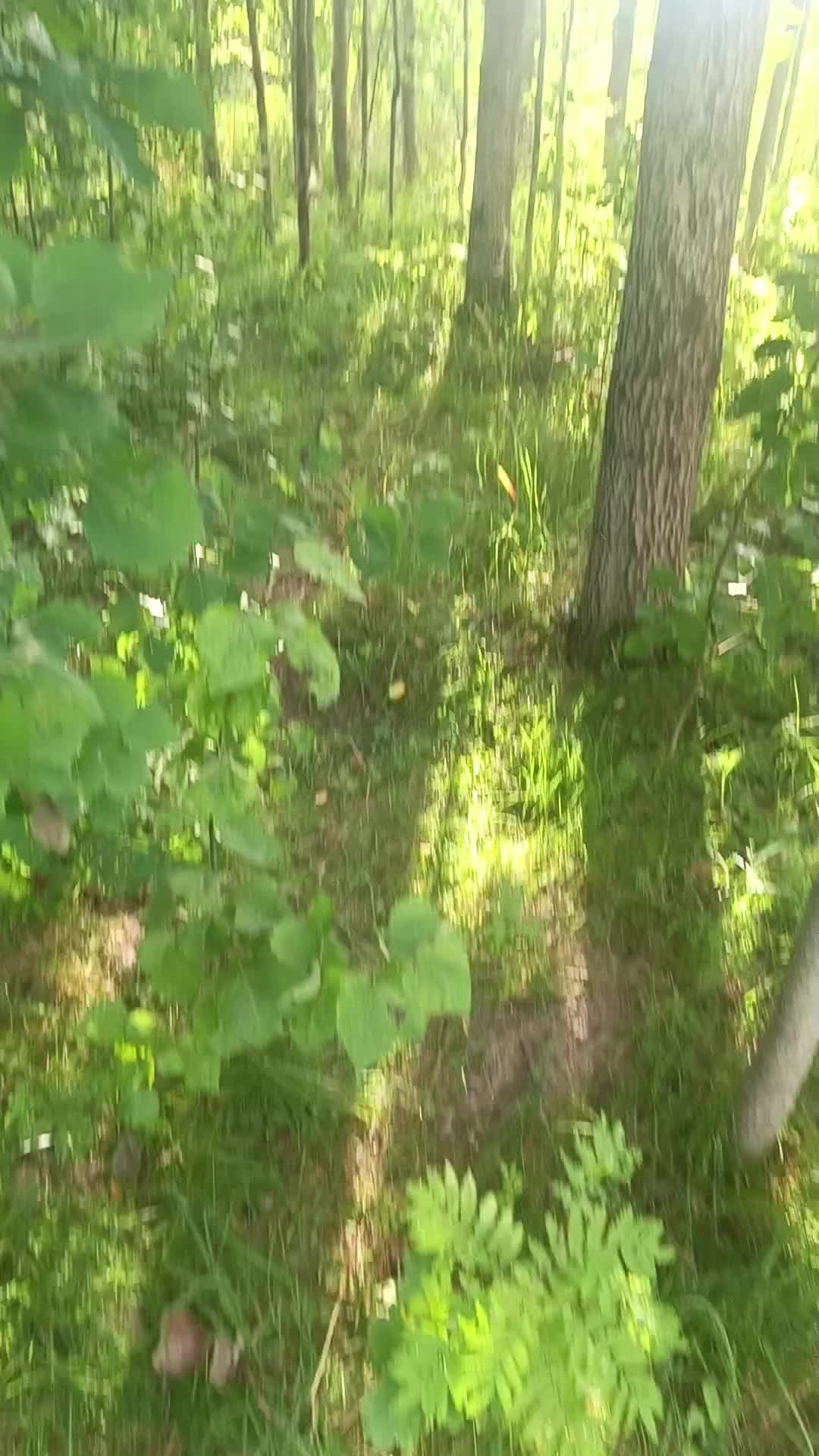 @мучачо