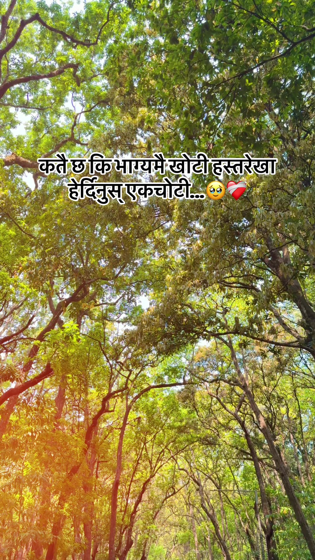 @Manisha Sharma