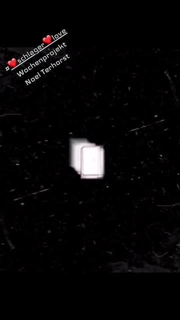 @Flammenkugelfienebiene👑🪩💎
