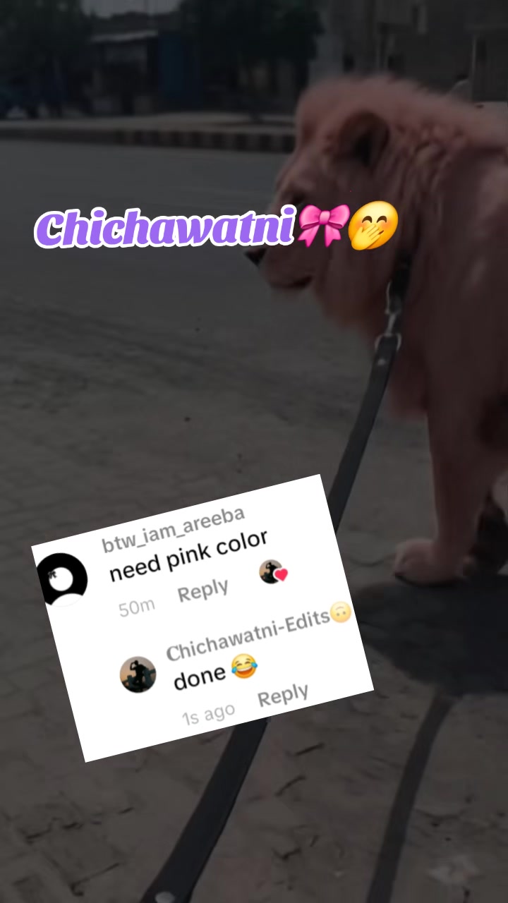 @𝐂hichawatni-Edits🙃