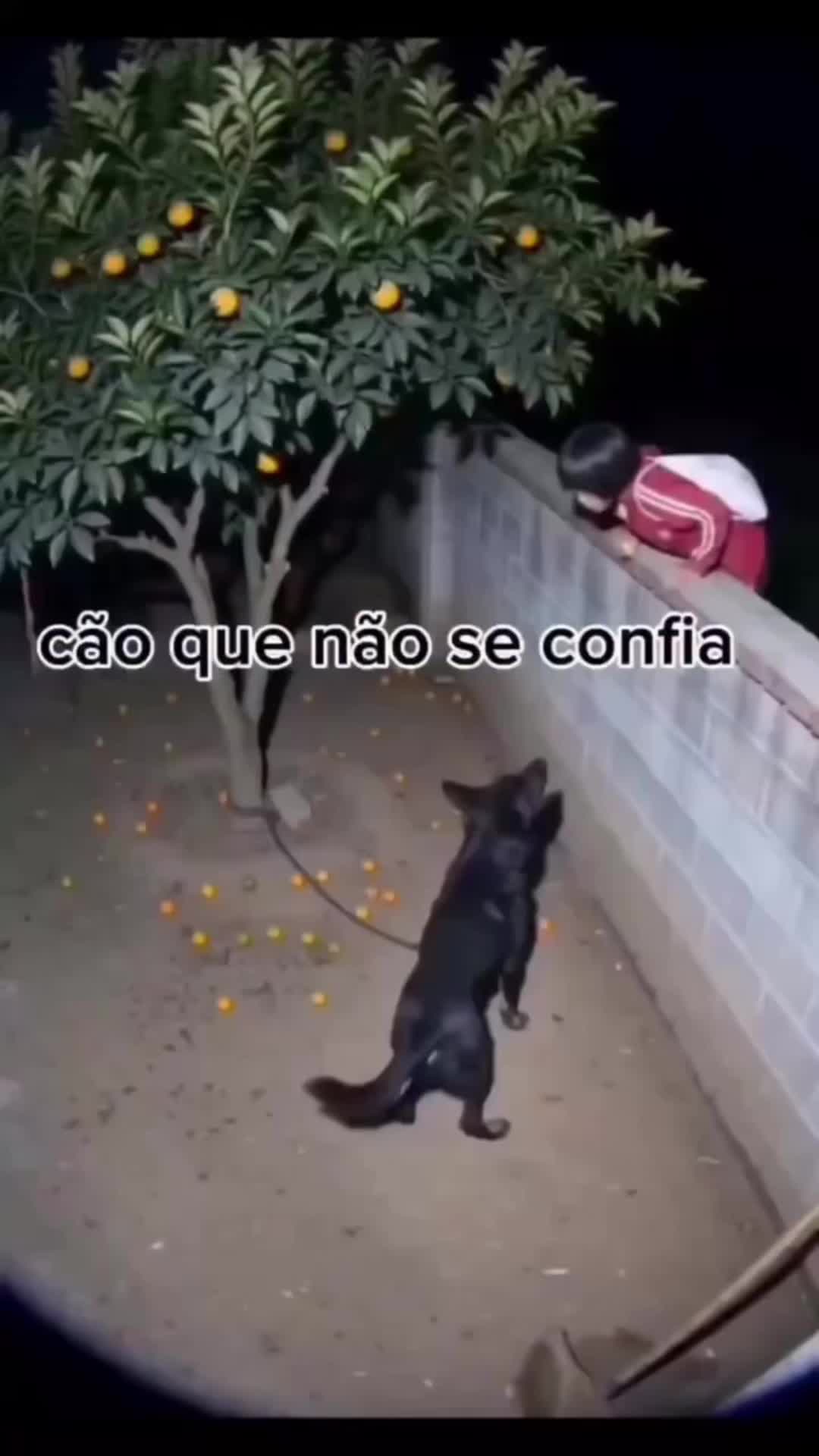 @BlastKrazzie