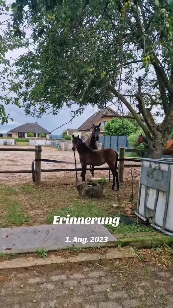 @LunaherzTina