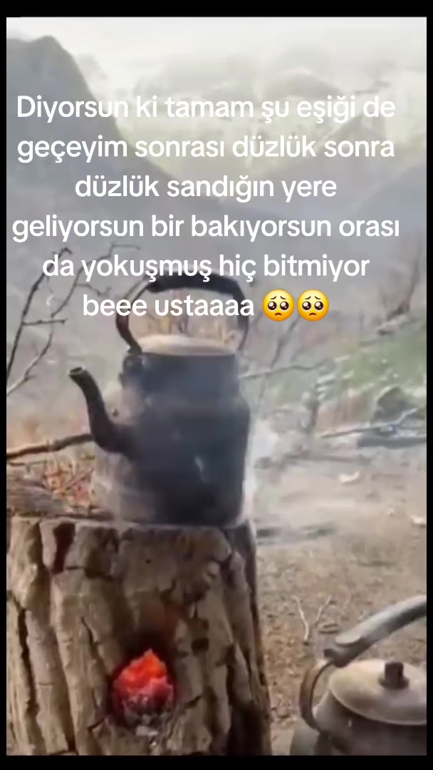 @⚜️wolf usta ⚜️